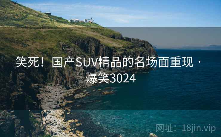 笑死！国产SUV精品的名场面重现 · 爆笑3024